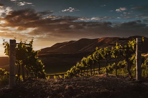 Vineyard Hills 4K Wallpaper · nature · 3840×2560