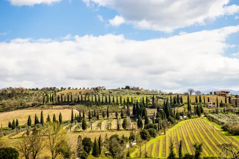 Vineyard Hills 4K Wallpaper · nature · 3840×2560