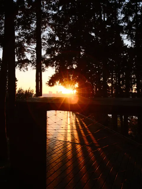Golden Hour Phone Wallpaper · aesthetic · 1440×1919