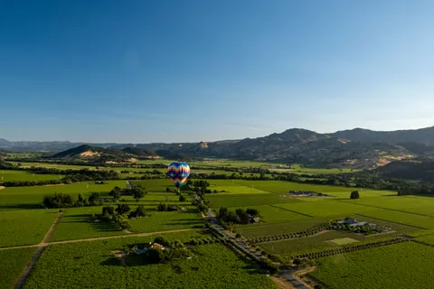 Vineyard Hills 4K Wallpaper · nature · 3840×2560