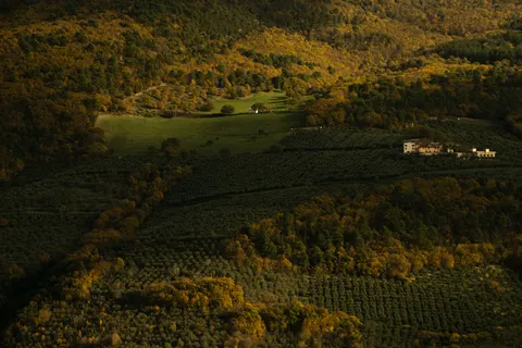 Vineyard Hills 4K Wallpaper · nature · 3840×2560