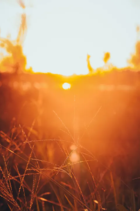 Golden Hour Phone Wallpaper · aesthetic · 1440×2160
