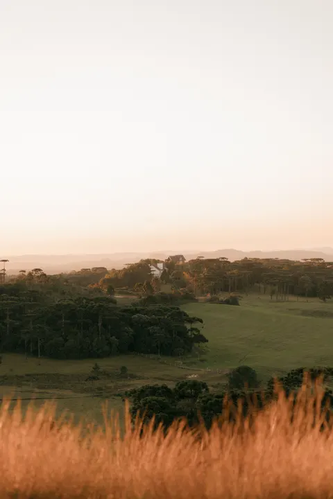 Golden Hour Phone Wallpaper · aesthetic · 1440×2160