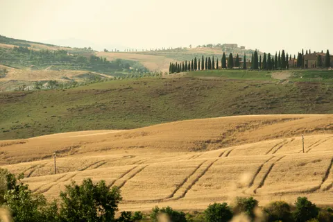 Vineyard Hills 4K Wallpaper · nature · 3840×2560