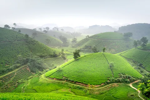 Papel de parede Colinas Verdes 4K · nature · 3840×2561