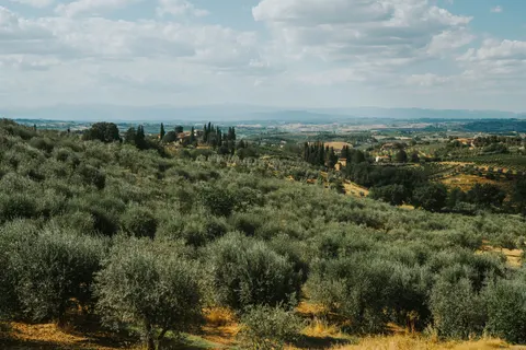 Vineyard Hills 4K Wallpaper · nature · 3840×2560