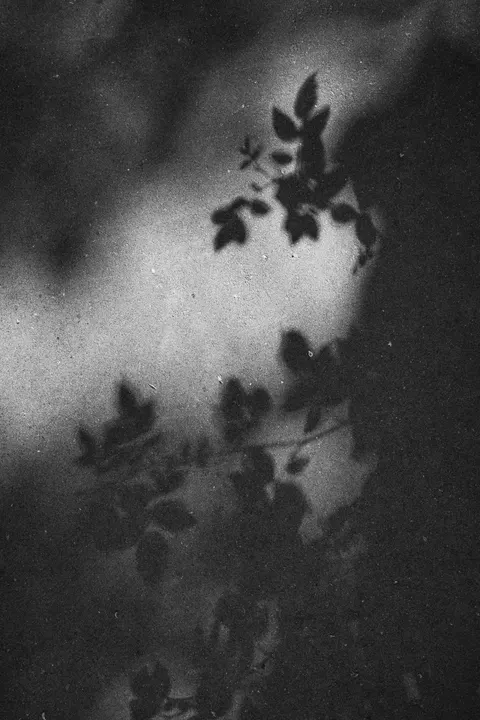 Film Aesthetic Phone Wallpaper · aesthetic · 1440×2160