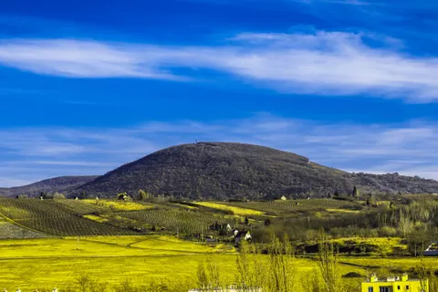 Vineyard Hills 4K Wallpaper · nature · 3840×2560