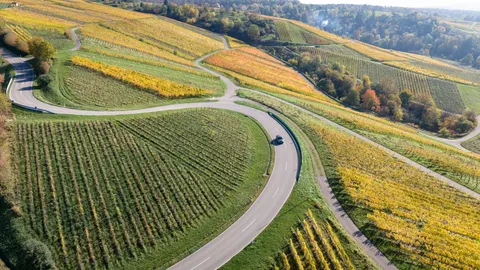 Vineyard Hills 4K Wallpaper · nature · 3840×2160