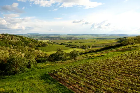 Vineyard Hills 4K Wallpaper · nature · 3840×2560