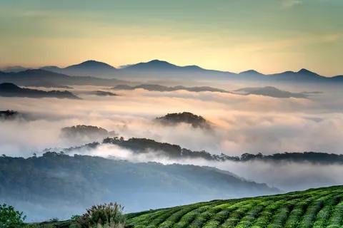 自然 4K壁纸 · nature · 3840×2561