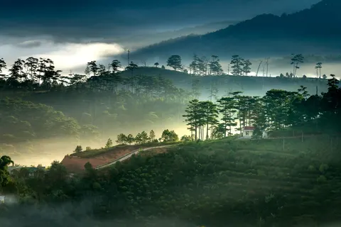 Misty Valley 4K Wallpaper · nature · 3840×2561