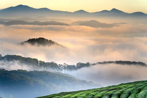 Misty Valley 4K Wallpaper · nature · 3840×2561