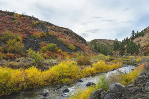 Autumn River 4K Wallpaper · nature · 3840×2555