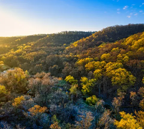 Autumn River 4K Wallpaper · nature · 3840×3442