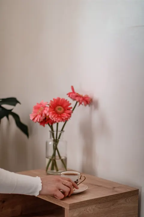 Soft Still Life Phone Wallpaper · aesthetic · 1440×2160