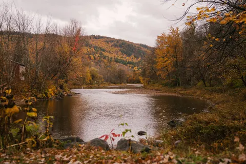 Autumn River 4K Wallpaper · nature · 3840×2560