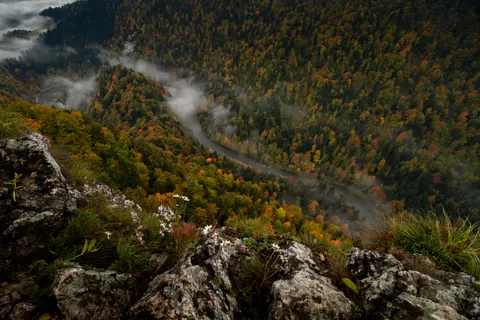 Autumn River 4K Wallpaper · nature · 3840×2560