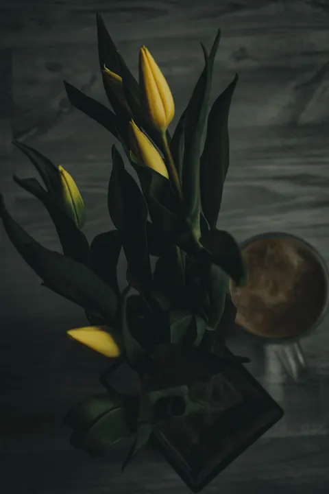 Soft Still Life Phone Wallpaper · aesthetic · 1440×2160