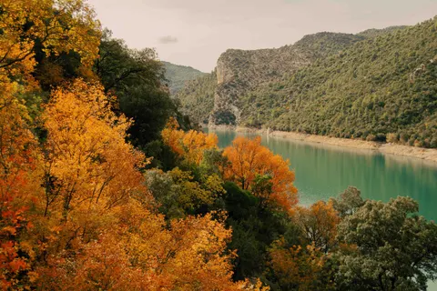 Fond d'écran Nature 4K · nature · 3840×2560