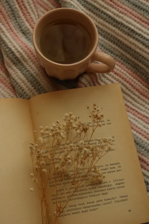 Soft Still Life Phone Wallpaper · aesthetic · 1440×2160