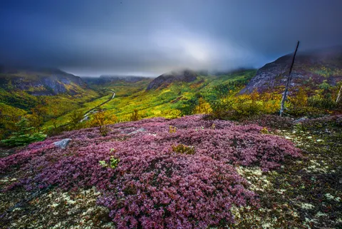Herbstfluss 4K Hintergrundbild · nature · 3840×2565