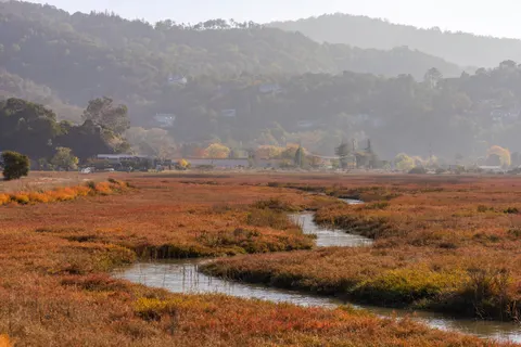 Autumn River 4K Wallpaper · nature · 3840×2560
