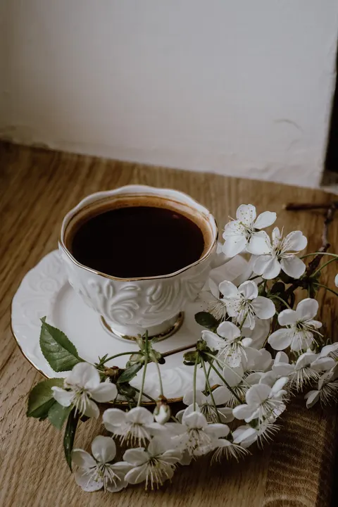 Soft Still Life Phone Wallpaper · aesthetic · 1440×2160