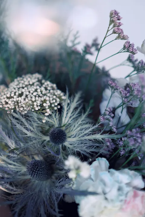 Soft Bloom Phone Wallpaper · aesthetic · 1440×2160