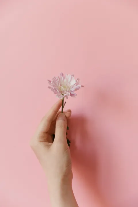 Soft Bloom Phone Wallpaper · aesthetic · 1440×2160