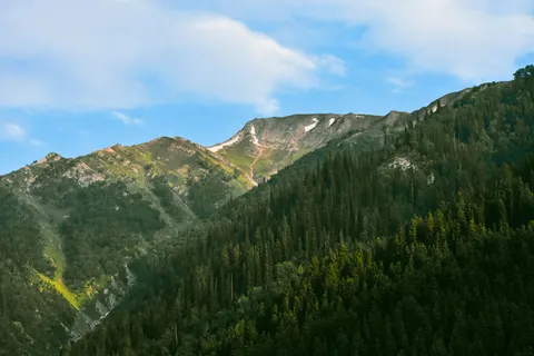 خلفية طبيعة بدقة 4K · nature · 3840×2560