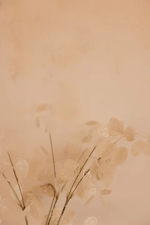 Soft Bloom Phone Wallpaper · aesthetic · 1440×2159