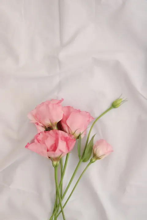 Soft Bloom Phone Wallpaper · aesthetic · 1440×2160