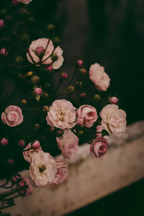 Soft Bloom Phone Wallpaper · aesthetic · 1440×2160
