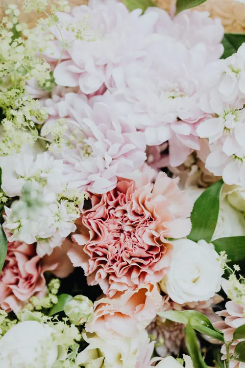 Soft Bloom Phone Wallpaper · aesthetic · 1440×2160