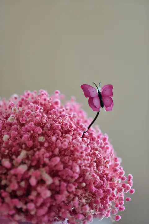Soft Bloom Phone Wallpaper · aesthetic · 1440×2158