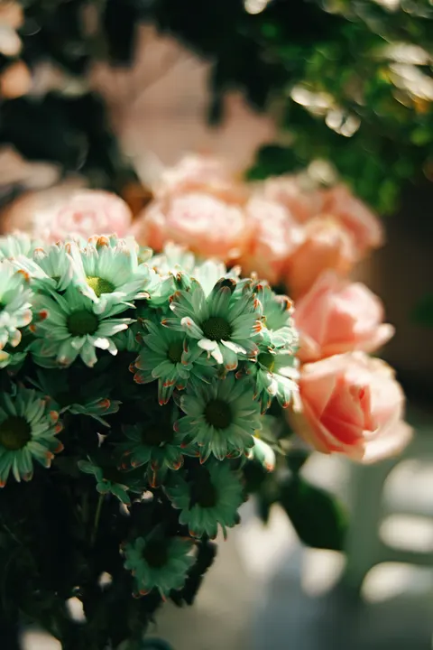 Soft Bloom Phone Wallpaper · aesthetic · 1440×2160