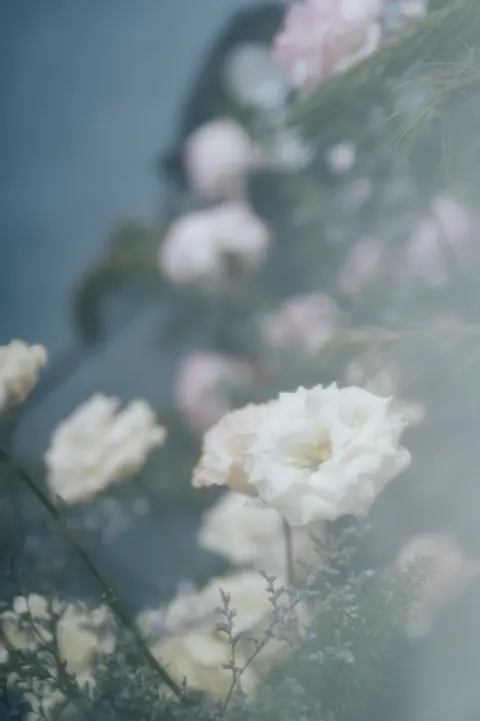 Soft Bloom Phone Wallpaper · aesthetic · 1440×2164