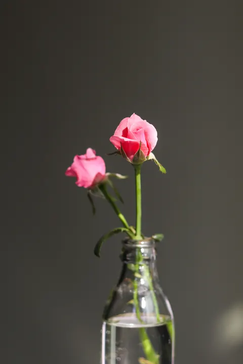 Soft Bloom Phone Wallpaper · aesthetic · 1440×2160