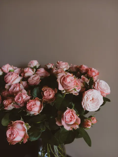 Soft Bloom Phone Wallpaper · aesthetic · 1440×1920