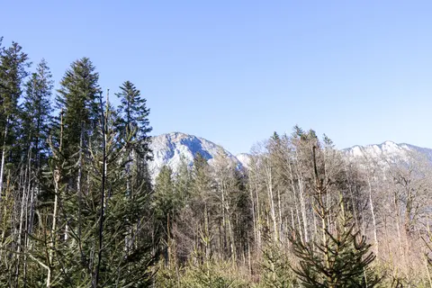 Обои Природа 4K · nature · 3840×2560