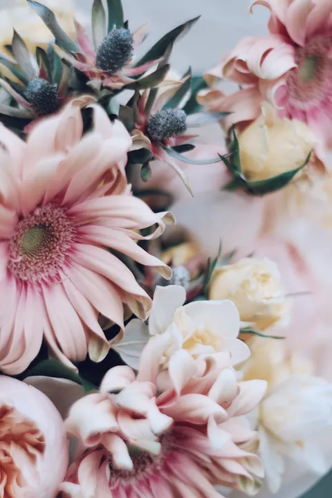 Soft Bloom Phone Wallpaper · aesthetic · 1440×2160