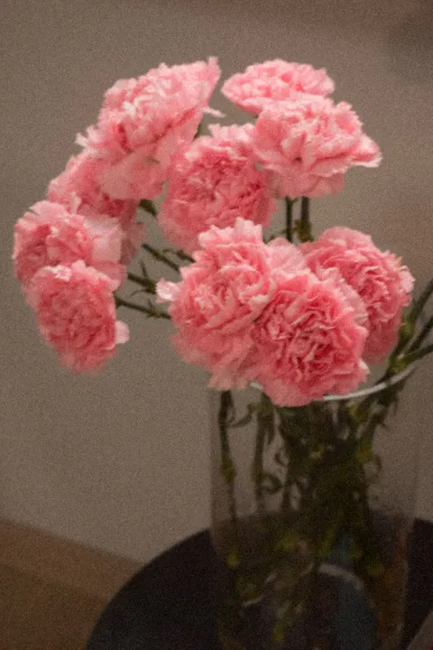Soft Bloom Phone Wallpaper · aesthetic · 1440×2160