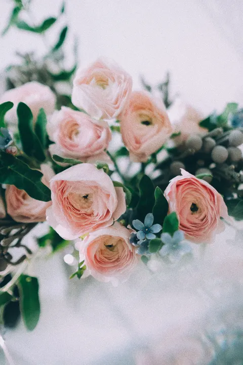 Soft Bloom Phone Wallpaper · aesthetic · 1440×2160