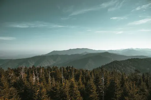 자연 4K 배경화면 · nature · 3840×2563