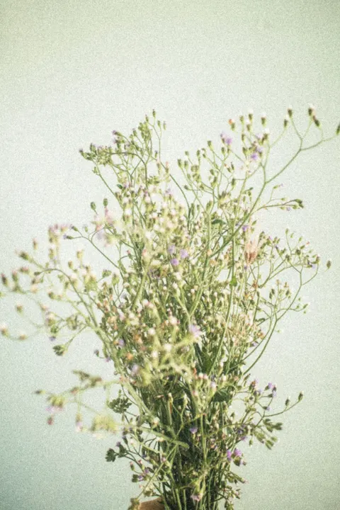 Soft Bloom Phone Wallpaper · aesthetic · 1440×2160