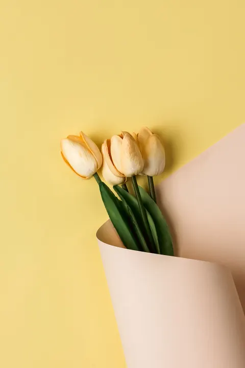 Soft Bloom Phone Wallpaper · aesthetic · 1440×2160