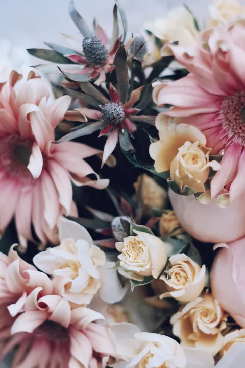Soft Bloom Phone Wallpaper · aesthetic · 1440×2160