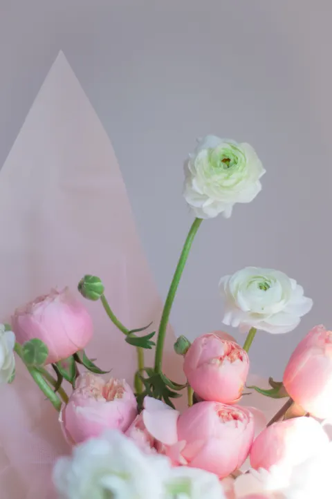 Soft Bloom Phone Wallpaper · aesthetic · 1440×2166
