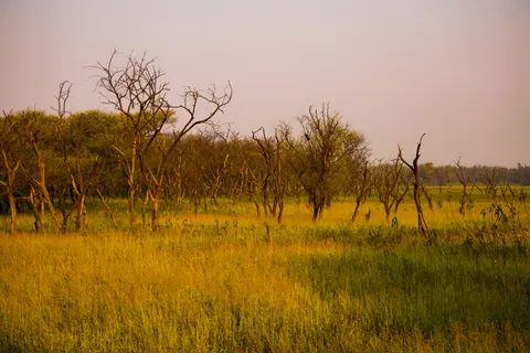 Savanna Sunset 4K Wallpaper · nature · 3840×2560
